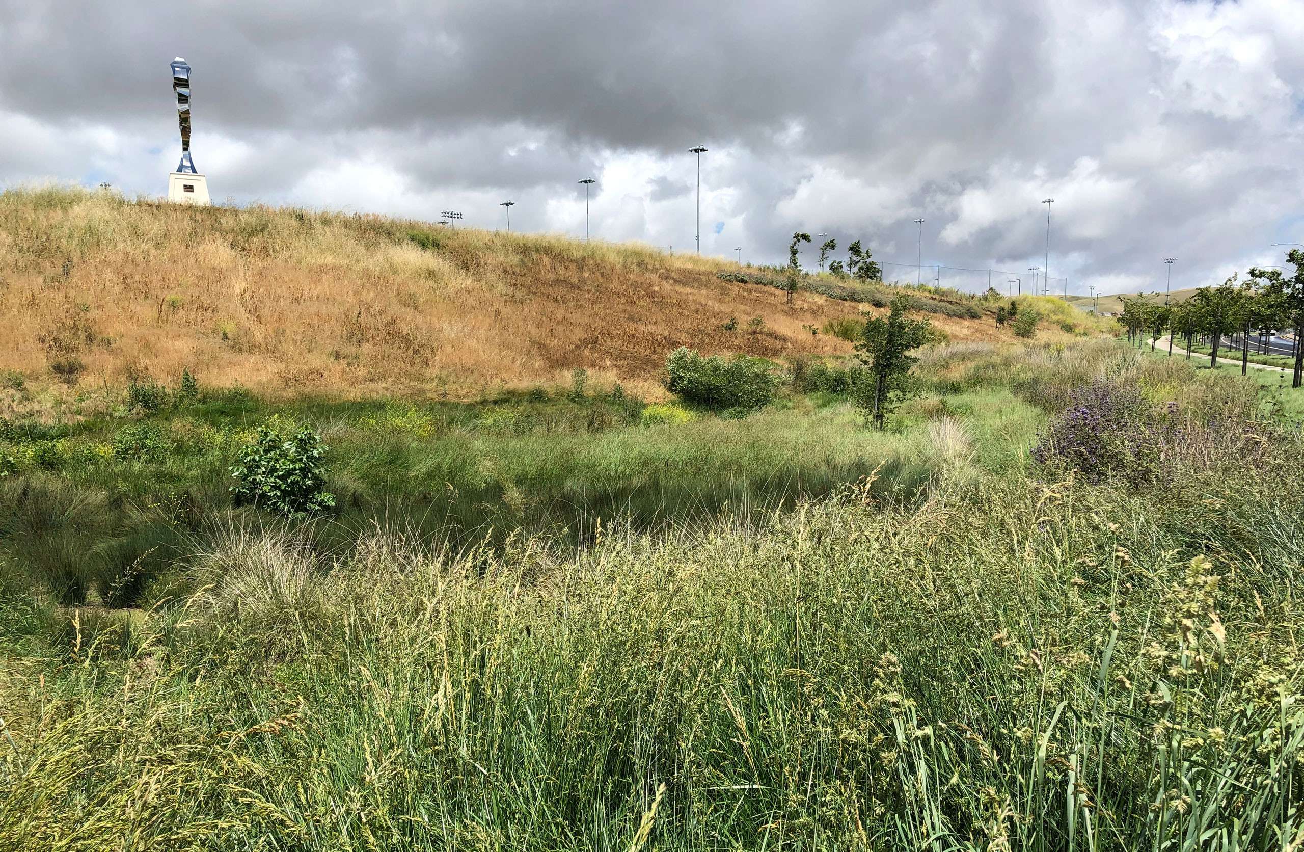 Fallon Sports Park
