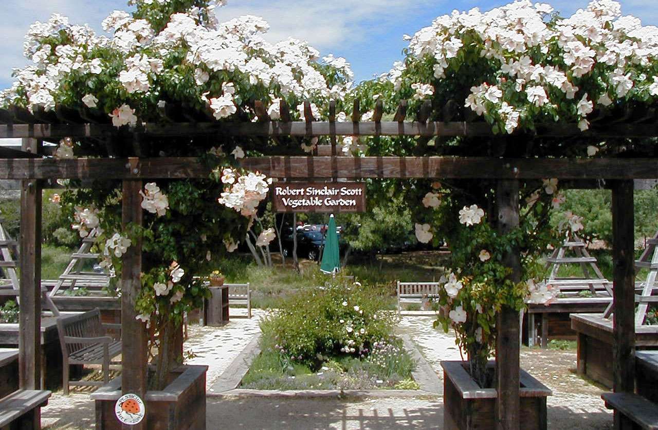 Redwood Senior Center