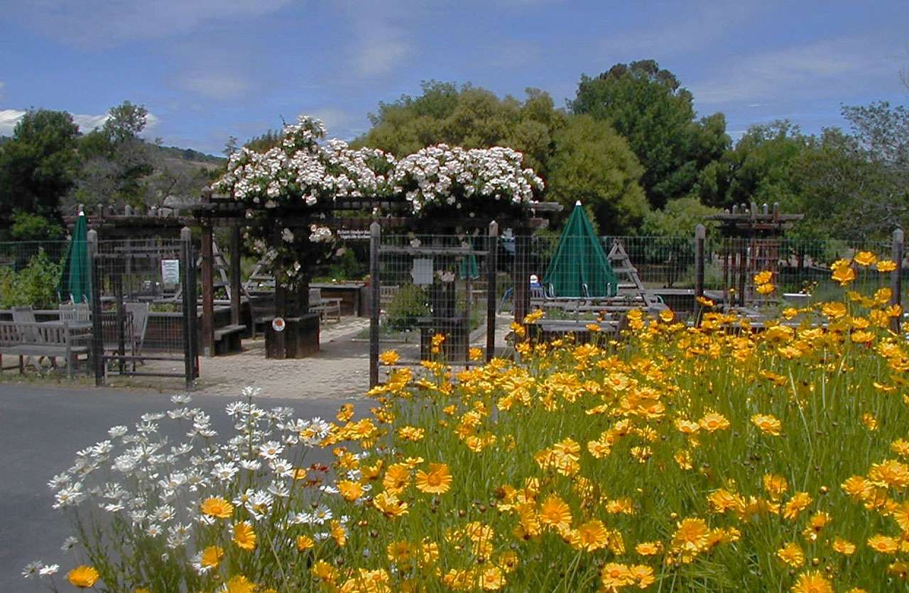 Redwood Senior Center