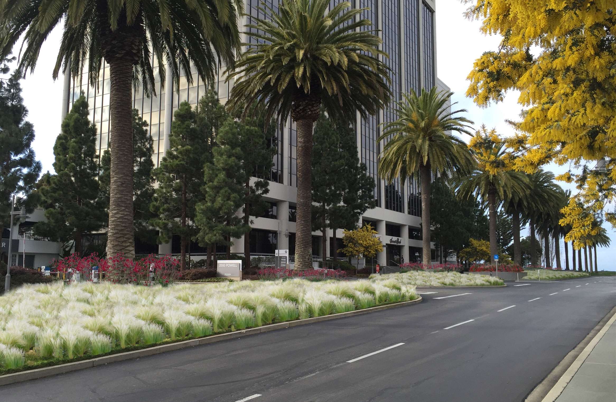 Towers at Emeryville